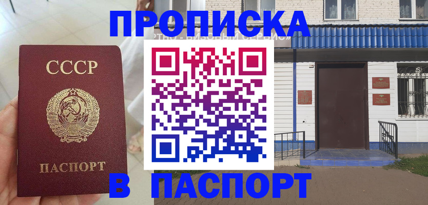прописка для школы в Новороссийске